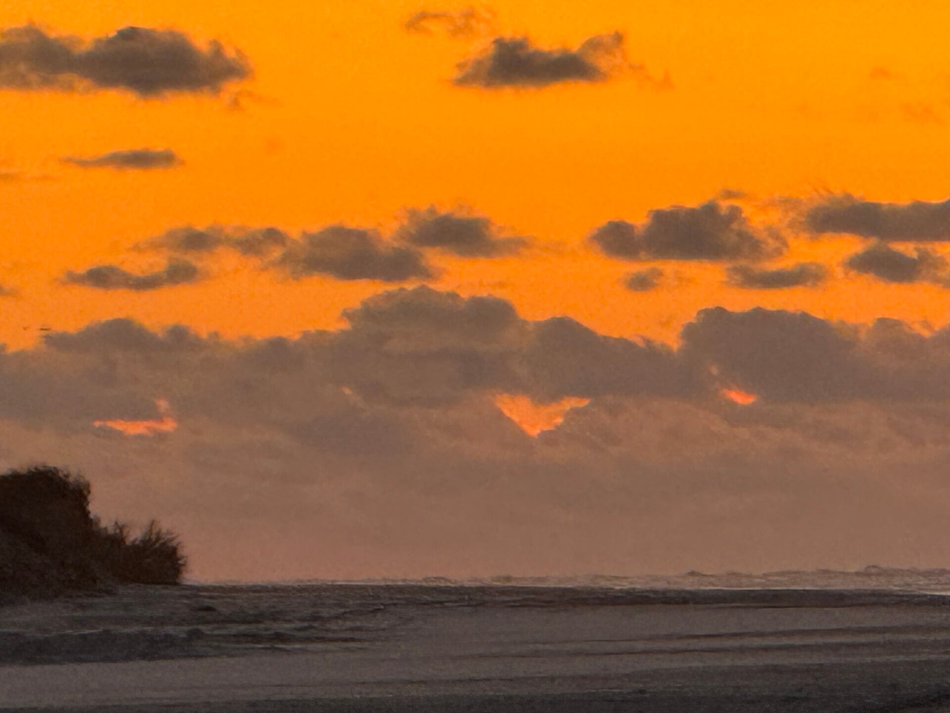 #ameland, #amelandergat, #zeehonden, #pieterburen, #vlieland,#terschelling  #rederijdoeksen, #bedandbreakfastterschelling,#bedandrelaxterschelling, #volkswagen #amarok, #terreinrijden, #strandrijden, #strandrijdenterschelling, #brandaris, #ervaarterschell