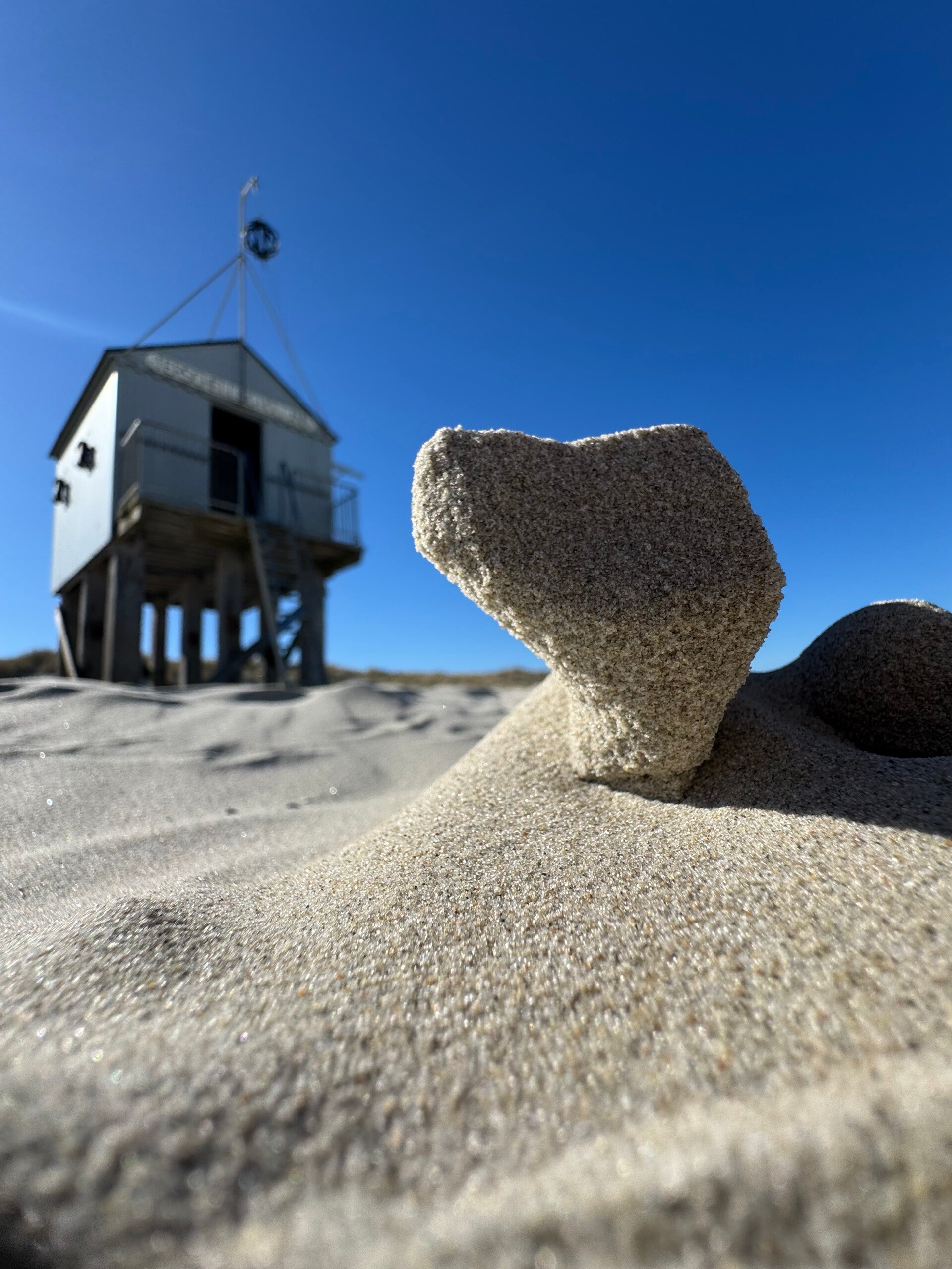 #ameland, #amelandergat, #zeehonden, #pieterburen, #vlieland,#terschelling  #rederijdoeksen, #bedandbreakfastterschelling,#bedandrelaxterschelling, #volkswagen #amarok, #terreinrijden, #strandrijden, #strandrijdenterschelling, #brandaris, #ervaarterschell