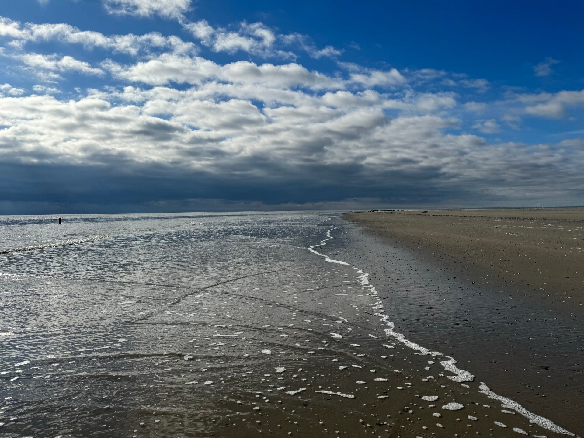 #ameland, #amelandergat, #zeehonden, #pieterburen, #vlieland,#terschelling  #rederijdoeksen, #bedandbreakfastterschelling,#bedandrelaxterschelling, #volkswagen #amarok, #terreinrijden, #strandrijden, #strandrijdenterschelling, #brandaris, #ervaarterschell