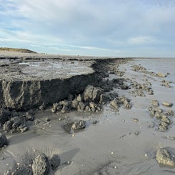 #ameland, #amelandergat, #zeehonden, #pieterburen, #vlieland,#terschelling  #rederijdoeksen, #bedandbreakfastterschelling,#bedandrelaxterschelling, #volkswagen #amarok, #terreinrijden, #strandrijden, #strandrijdenterschelling, #brandaris, #ervaarterschell