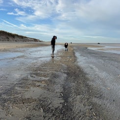 #ameland, #amelandergat, #zeehonden, #pieterburen, #vlieland,#terschelling  #rederijdoeksen, #bedandbreakfastterschelling,#bedandrelaxterschelling, #volkswagen #amarok, #terreinrijden, #strandrijden, #strandrijdenterschelling, #brandaris, #ervaarterschell