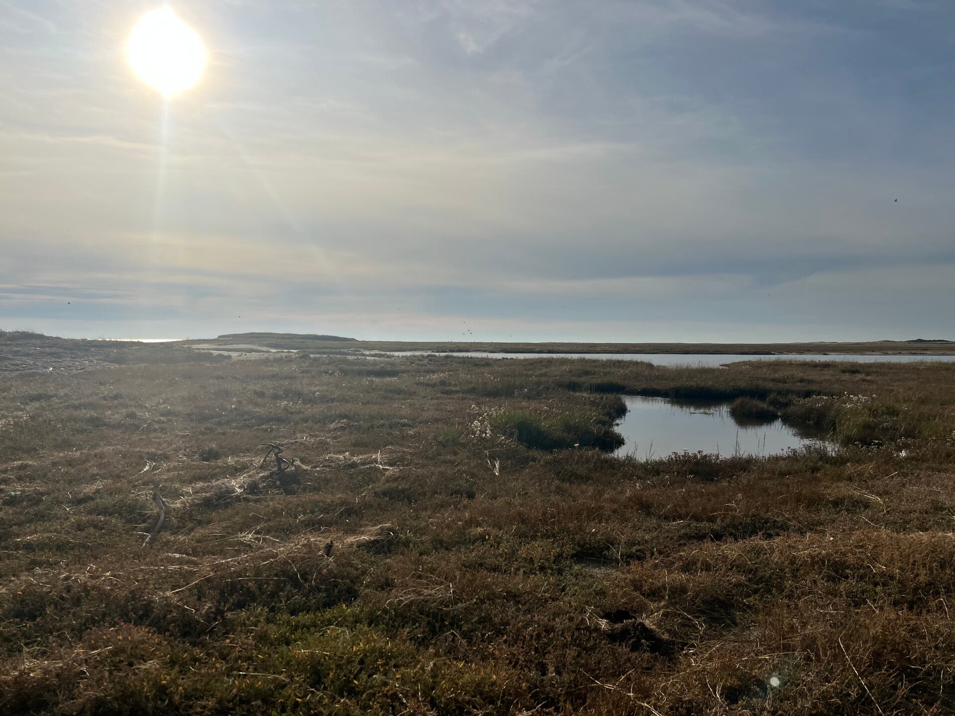 #ameland, #amelandergat, #zeehonden, #pieterburen, #vlieland,#terschelling  #rederijdoeksen, #bedandbreakfastterschelling,#bedandrelaxterschelling, #volkswagen #amarok, #terreinrijden, #strandrijden, #strandrijdenterschelling, #brandaris, #ervaarterschell