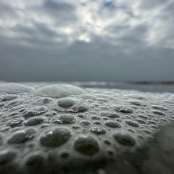 #ameland, #amelandergat, #zeehonden, #pieterburen, #vlieland,#terschelling  #rederijdoeksen, #bedandbreakfastterschelling,#bedandrelaxterschelling, #volkswagen #amarok, #terreinrijden, #strandrijden, #strandrijdenterschelling, #brandaris, #ervaarterschell