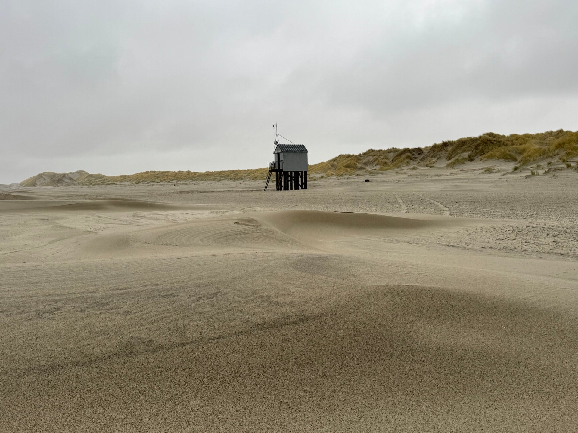 #ameland, #amelandergat, #zeehonden, #pieterburen, #vlieland,#terschelling  #rederijdoeksen, #bedandbreakfastterschelling,#bedandrelaxterschelling, #volkswagen #amarok, #terreinrijden, #strandrijden, #strandrijdenterschelling, #brandaris, #ervaarterschell