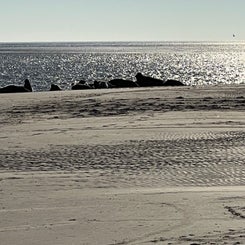 #terschelling #zand #zon #zee #duin #drenkelingenhuisje #amelandergat #ameland #vuurtoren #brandaris #4x4 #drijfzand #strandrijden #barnsteen #vogelskijken #eb #vloed #sterrenkijken #melkweg #zonsopgang #zonsondergang #foto’s #noorderlicht #aurora #vliela
