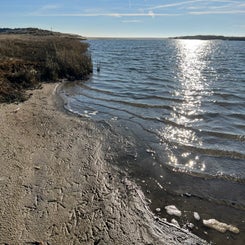 #terschelling #zand #zon #zee #duin #drenkelingenhuisje #amelandergat #ameland #vuurtoren #brandaris #4x4 #drijfzand #strandrijden #barnsteen #vogelskijken #eb #vloed #sterrenkijken #melkweg #zonsopgang #zonsondergang #foto’s #noorderlicht #aurora #vliela