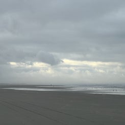 a19adc89-64e7-40f8-818e-a18c2b45e101.jpeg