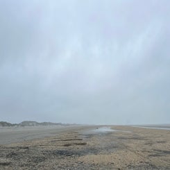 img_1766.jpeg