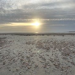 #terschelling #zand #zon #zee #duin #drenkelingenhuisje #amelandergat #ameland #vuurtoren #brandaris #4x4 #drijfzand #strandrijden #barnsteen #vogelskijken #eb #vloed #sterrenkijken #melkweg #zonsopgang #zonsondergang #foto’s #noorderlicht #aurora #vliela