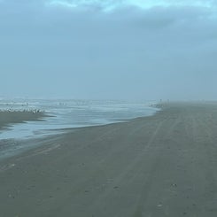 #terschelling #zand #zon #zee #duin #drenkelingenhuisje #amelandergat #ameland #vuurtoren #brandaris #4x4 #drijfzand #strandrijden #barnsteen #vogelskijken #eb #vloed #sterrenkijken #melkweg #zonsopgang #zonsondergang #foto’s #noorderlicht #aurora #vliela