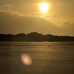 fff29655-22f0-4c54-8e4d-5f6349502b7e.jpeg