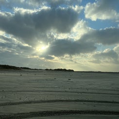 8e72ab65-02b3-4cec-97be-bbe77dc8477e.jpeg