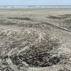 #terschelling #zand #zon #zee #duin #drenkelingenhuisje #amelandergat #ameland #vuurtoren #brandaris #4x4 #drijfzand #strandrijden #barnsteen #vogelskijken #eb #vloed #sterrenkijken #melkweg #zonsopgang #zonsondergang #foto’s #noorderlicht #aurora