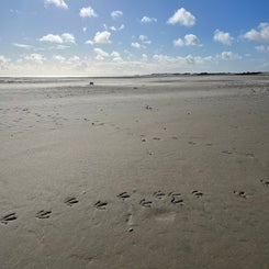 #terschelling #zand #zon #zee #duin #drenkelingenhuisje #amelandergat #ameland #vuurtoren #brandaris #4x4 #drijfzand #strandrijden #barnsteen #vogelskijken #eb #vloed #sterrenkijken #melkweg #zonsopgang #zonsondergang #foto’s 