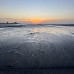 b48835f7-e49c-4d39-a78a-50a8fae05c52.jpeg