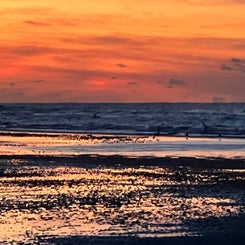 #terschelling #zand #zon #zee #duin #drenkelingenhuisje #amelandergat #ameland #vuurtoren #brandaris #4x4 #drijfzand #strandrijden #barnsteen #vogelskijken #eb #vloed #sterrenkijken #melkweg #zonsopgang #zonsondergang #foto’s #noorderlicht