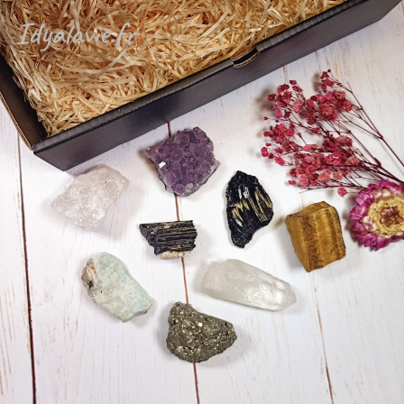 Coffret Première Rencontre