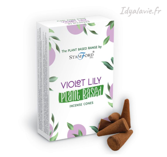 Cônes Stamford Violet Lily