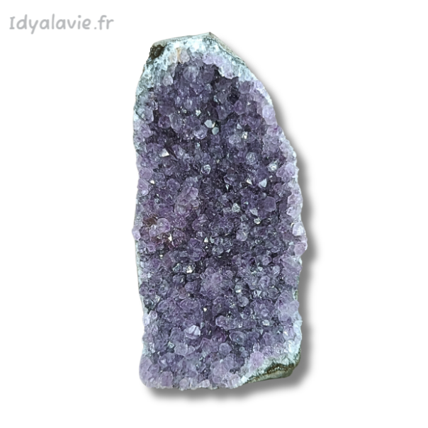 Améthyste géode 287g A