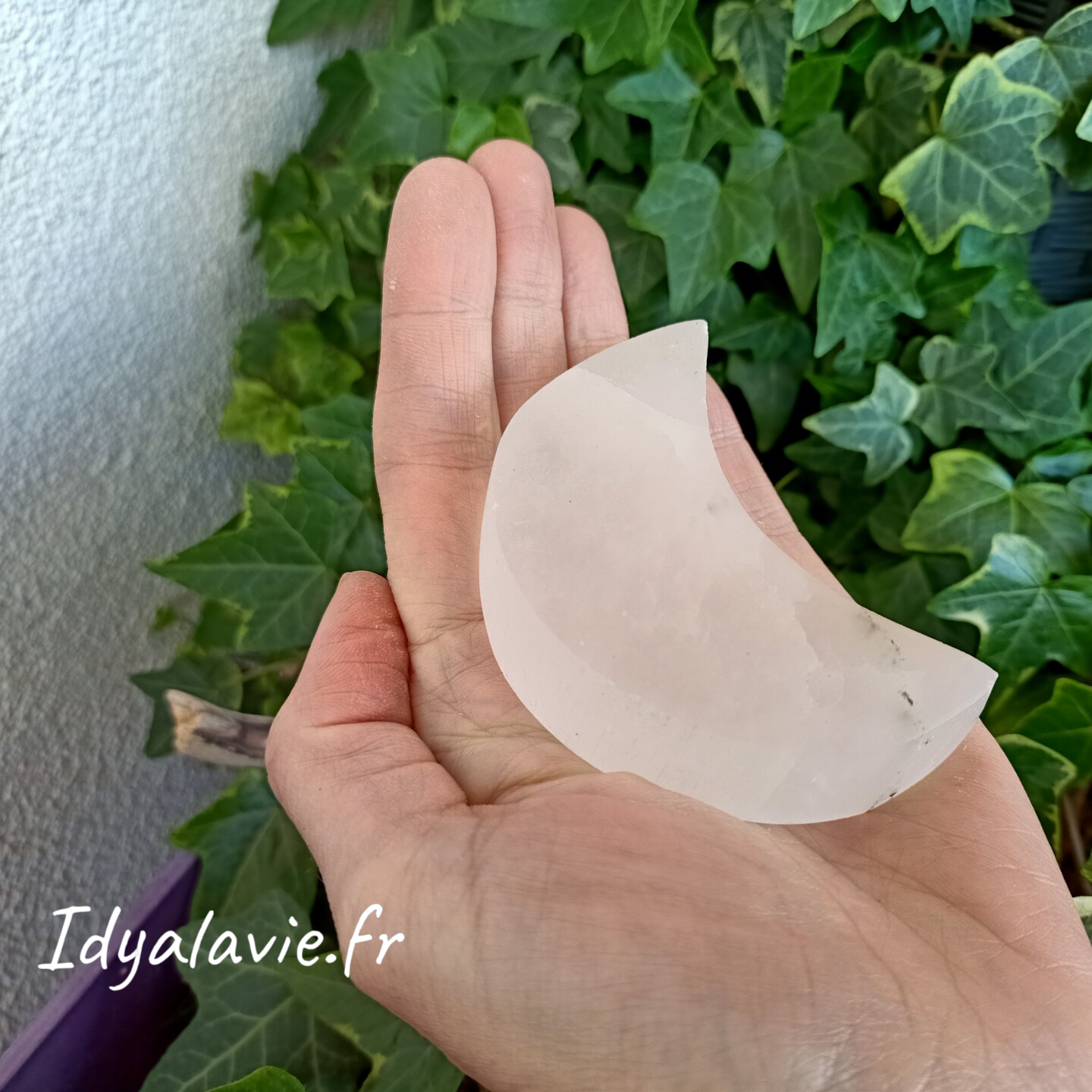 Sélénite croissant de lune plate