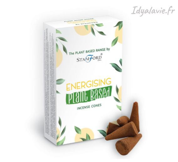 Cônes Stamford Energisant