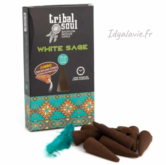 Encens cônes XL Backflow Tribal Soul Sauge blanche