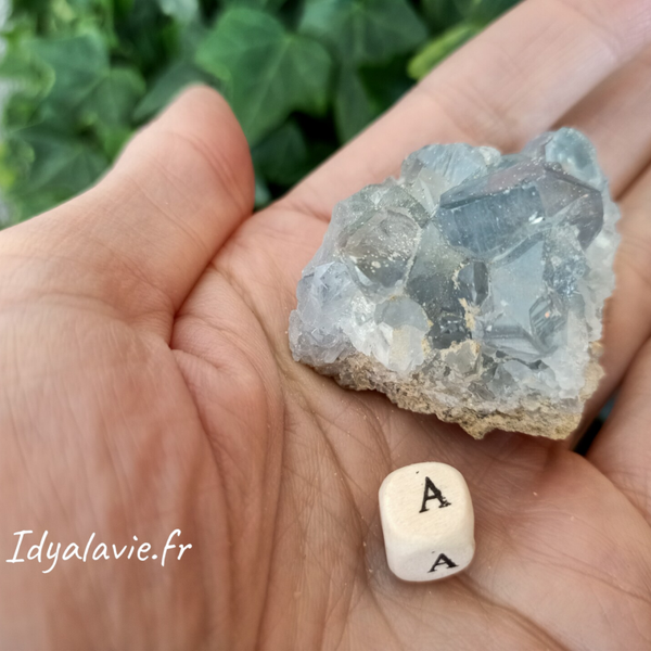 Célestine (Célestite) mini druse 50 à 150g