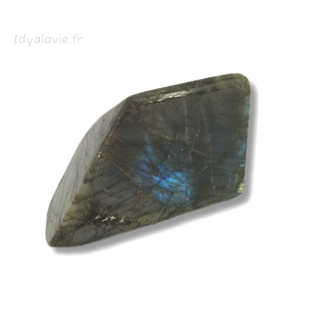 Labradorite forme libre 801g