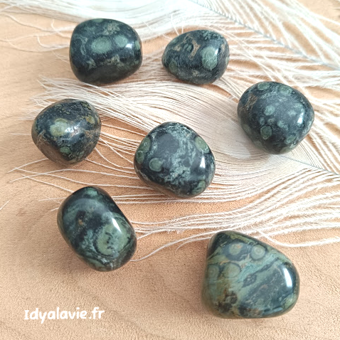 Jaspe kambaba roulée