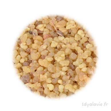 Résine Esoterra Oliban 25 g