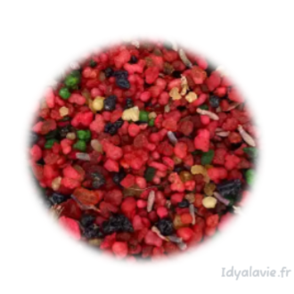 Résine Esoterra Saint Mickaël Archange 25g