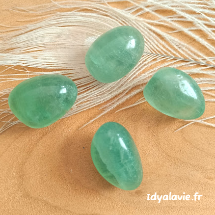 Fluorite /ine verte roulée