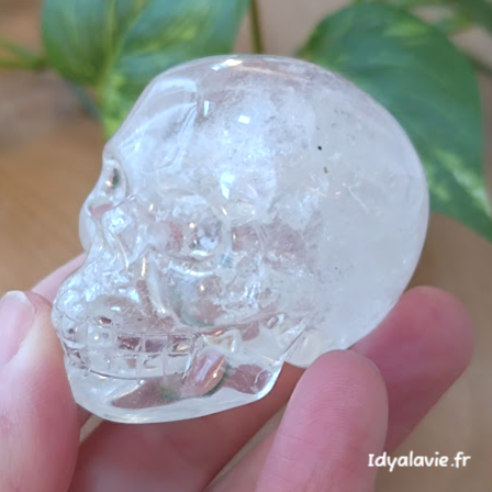 Crâne de Cristal de Roche 121g