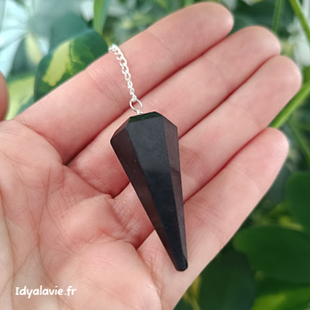 Pendule Shungite facetté