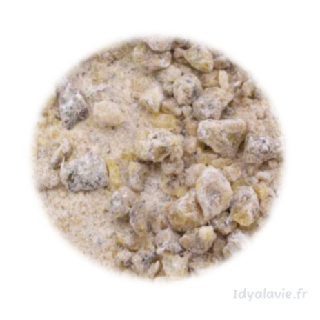 Résine Esoterra benjoin Dragon Fly 25 g