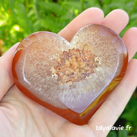 Cornaline cœur en druse 80 mm