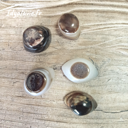 Agate Cyclope, Œil de Shiva