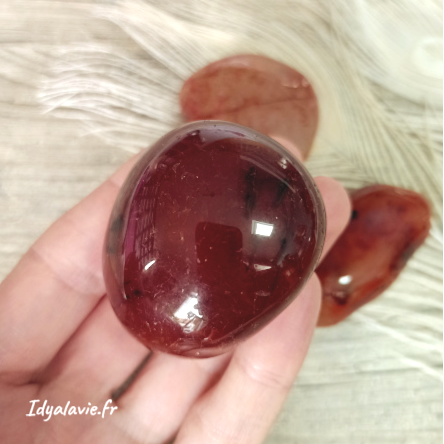 Cornaline (Sardoine si brune) jumbo