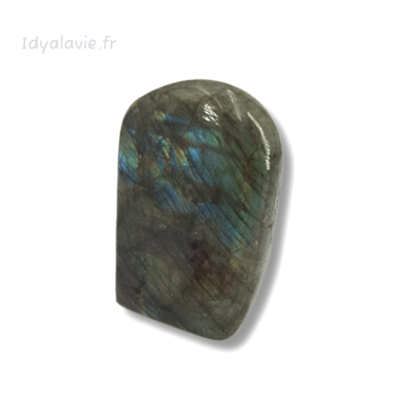 Labradorite forme libre 348g