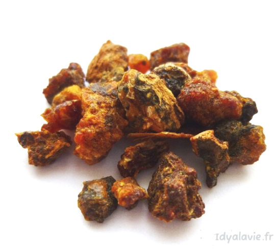 Résine Esoterra Opoponax 25 g