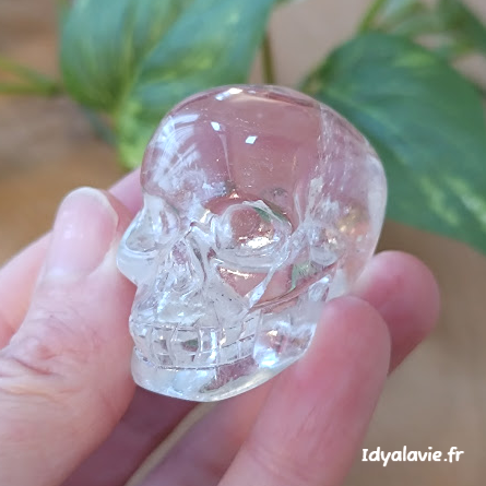 Crâne de Cristal de Roche 63g