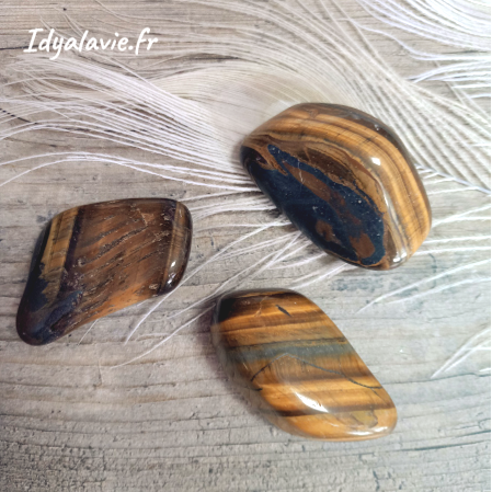 Œil de tigre roulée