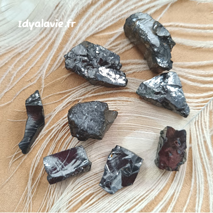 Shungite brute argentée