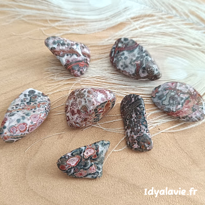 Jaspe Léopard roulée