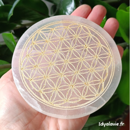 Support sélénite Fleur de Vie dorée 10 cm