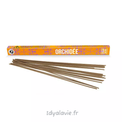 Encens Découverte Orchidée