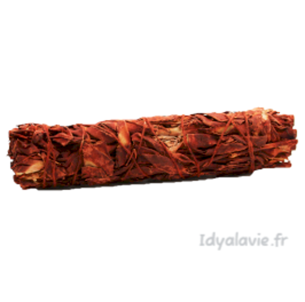 Sauge Sang de Dragon fagot 30-35g