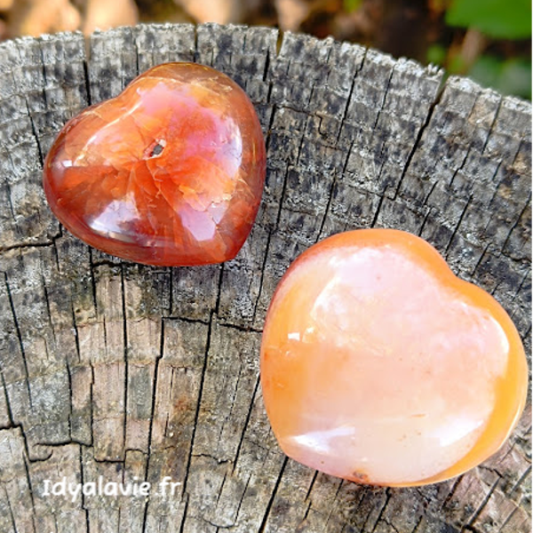 Cornaline cœur 35-40 mm