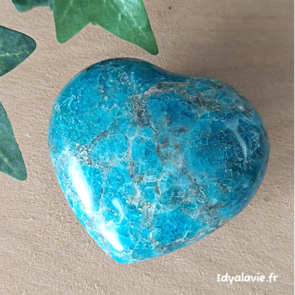 Apatite bleue cœur  60-70 mm