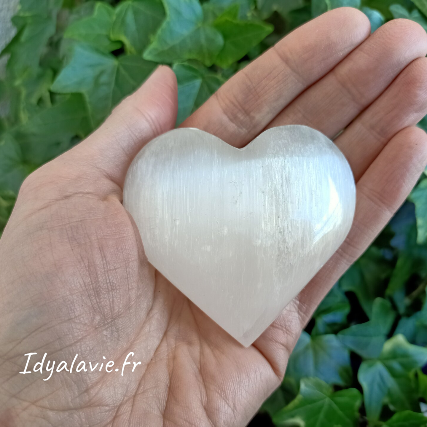 Sélénite cœur 6-7cm